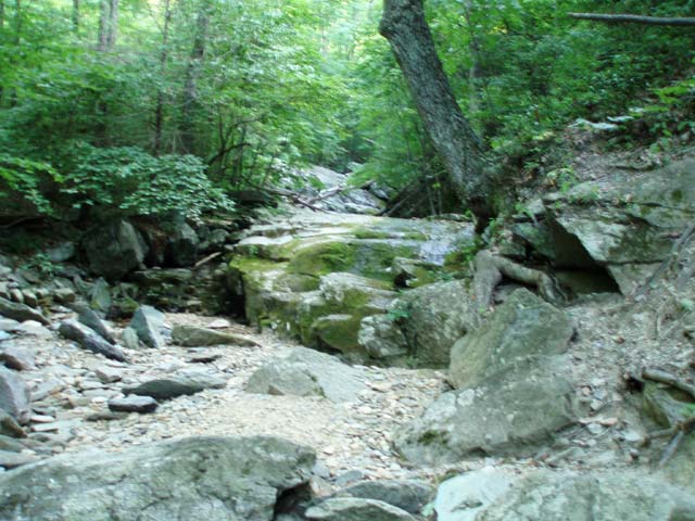 white rock creek